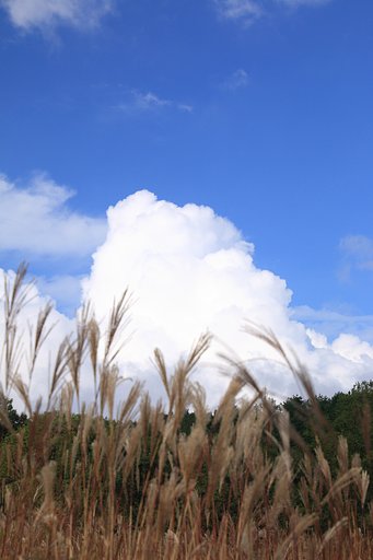 【春夏秋冬】季節が鮮やかに交替していく