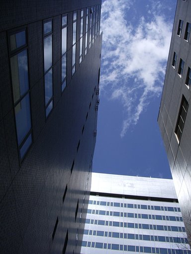 切り取られた空