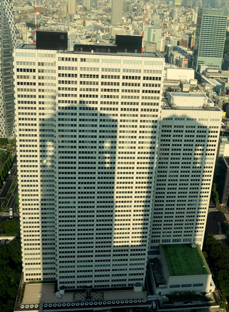 東京都庁の陰