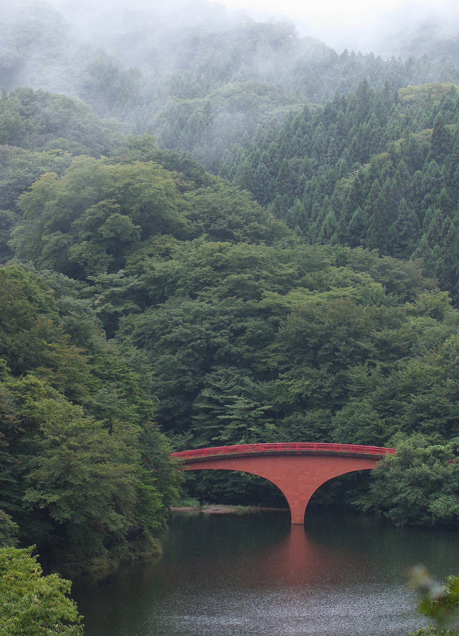 碓氷湖遠望