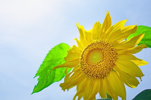 【広がり】　夏だぁ～～～！