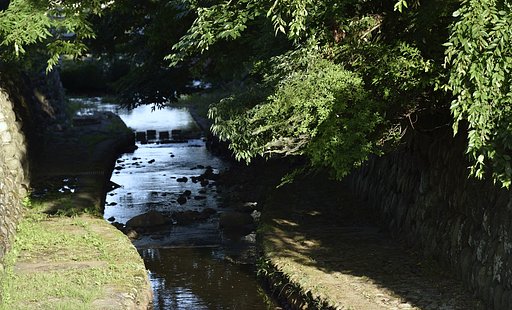 夏の始まり