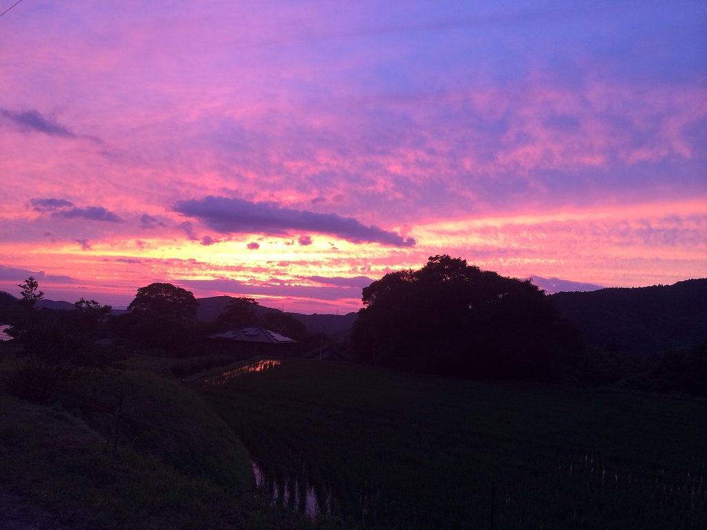 夕焼け