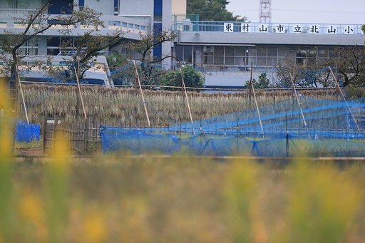 【春夏秋冬】理科実習田んぼの稔り