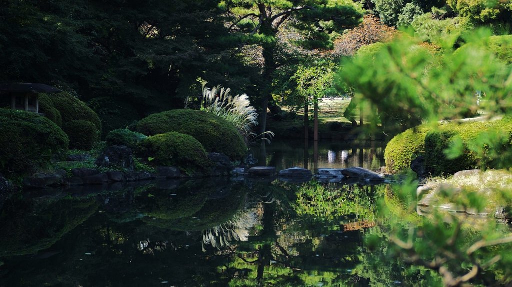 紅葉はまだかな・・・