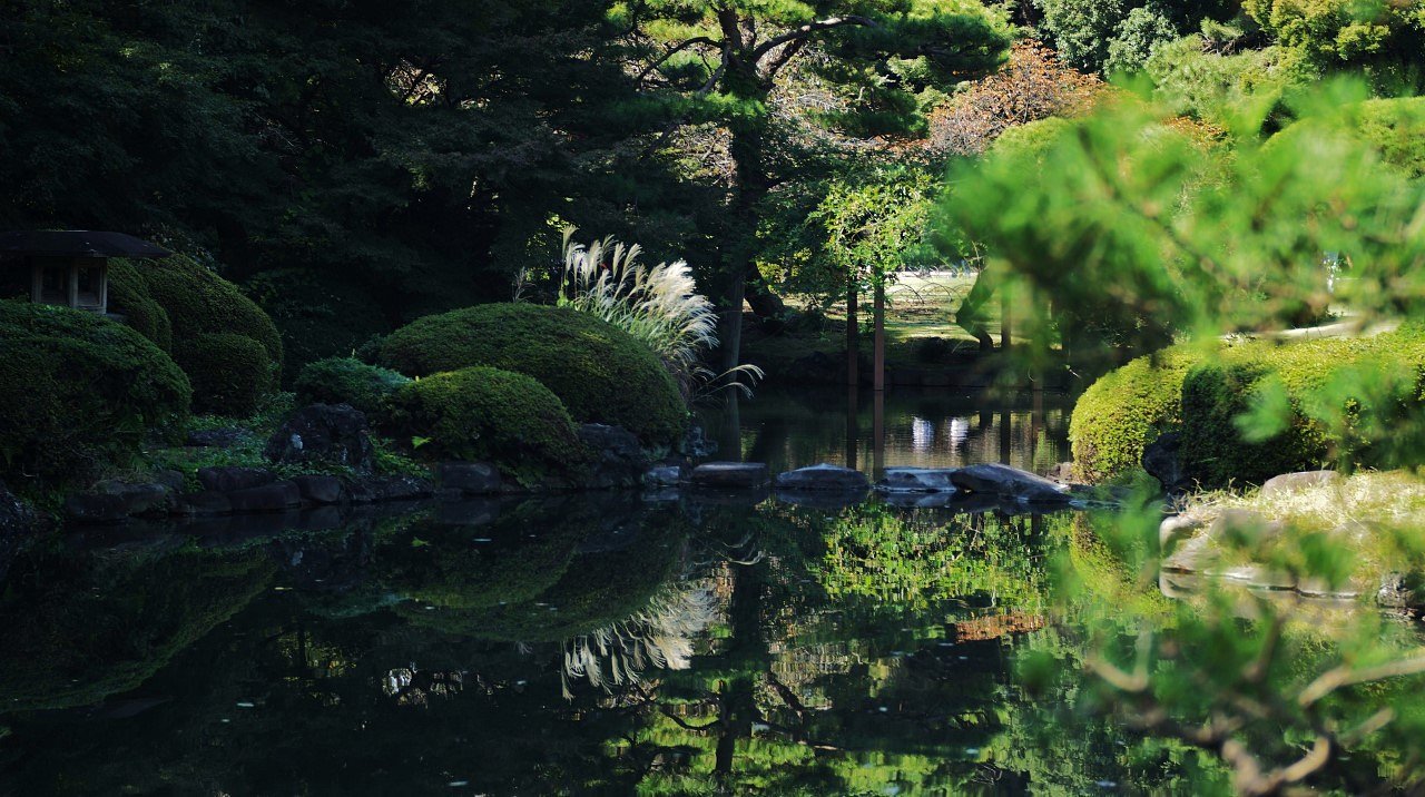 紅葉はまだかな・・・