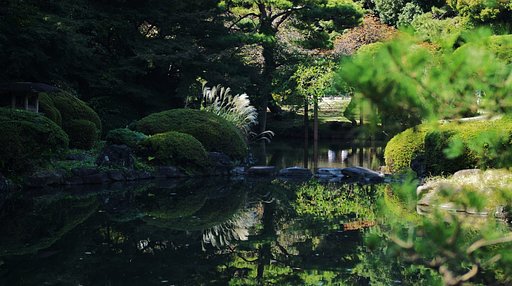 紅葉はまだかな・・・