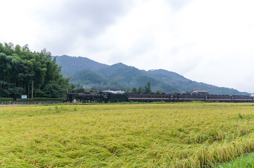 駅