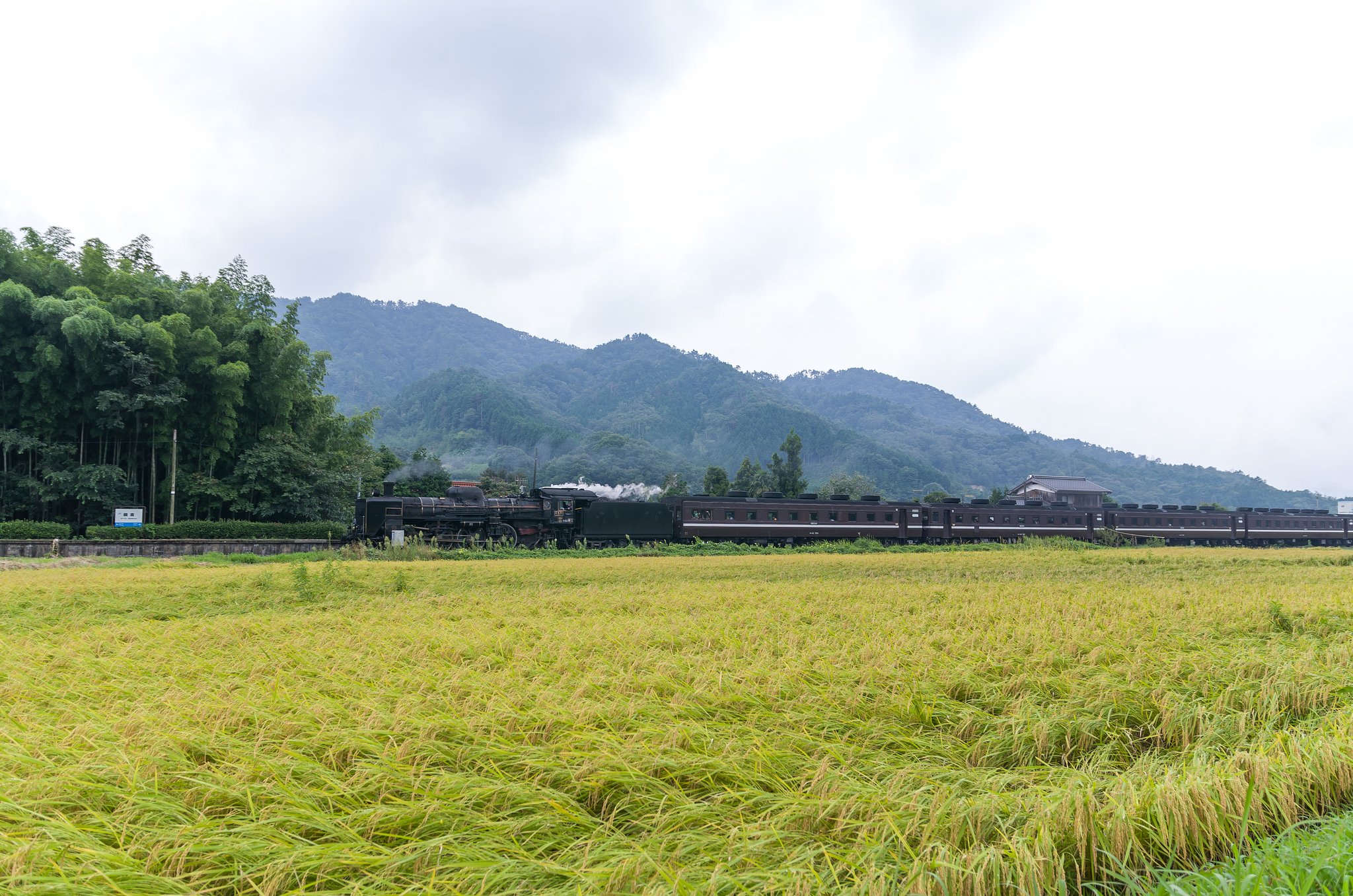 駅