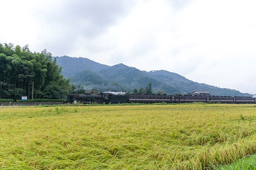 駅