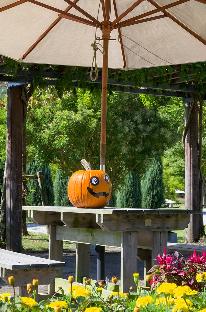 ハロウィン