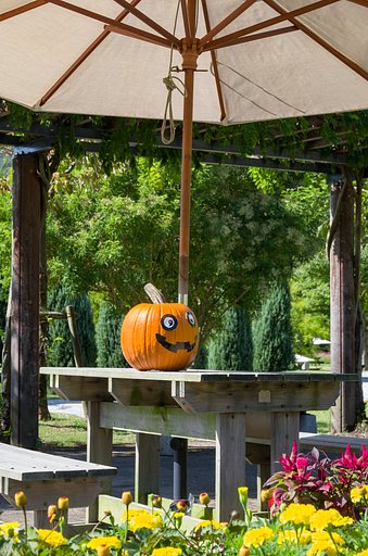 ハロウィン