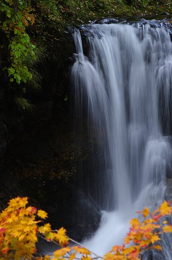 紅葉の季節