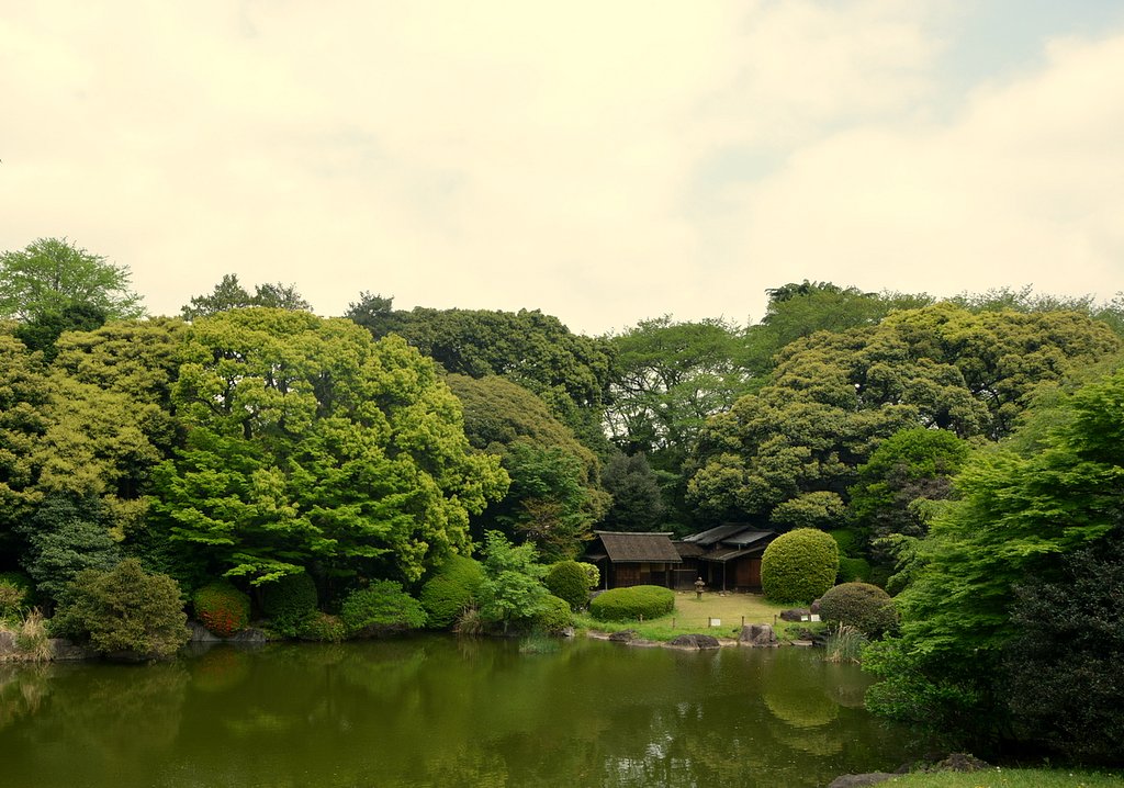 国立博物館の日本庭園