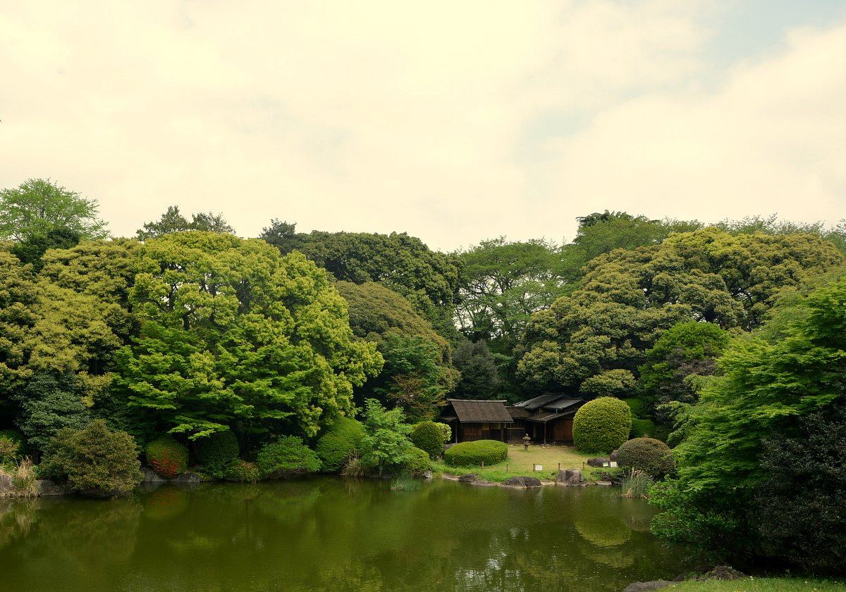 国立博物館の日本庭園