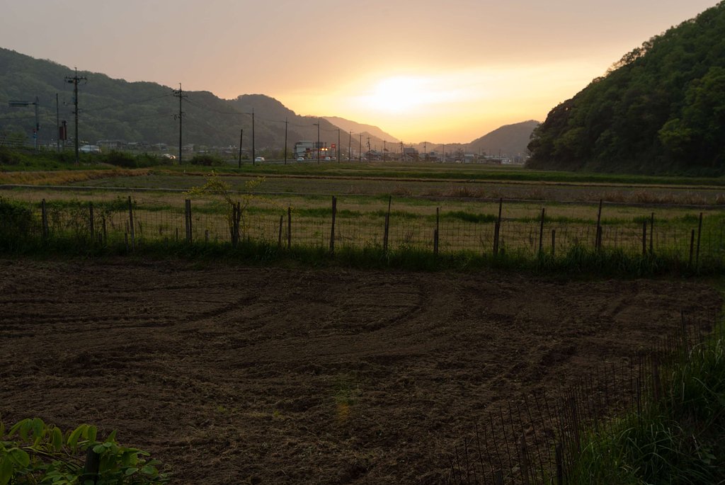 苗床の予定地。