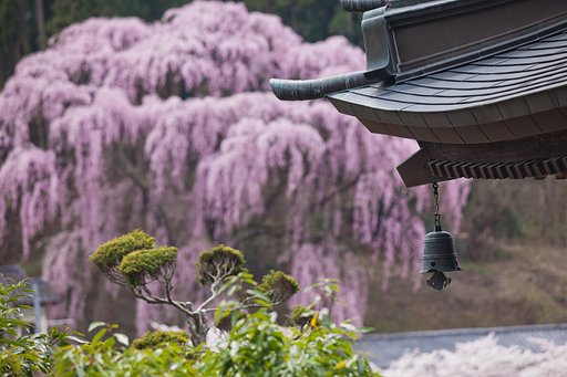 福聚寺2