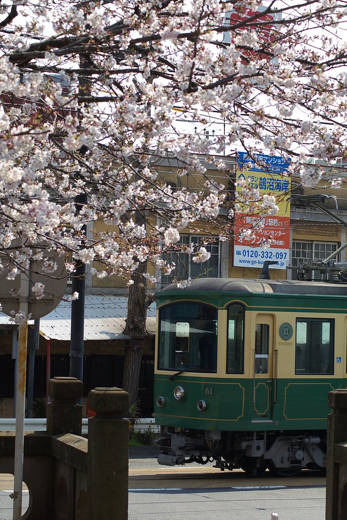 そろそろ祭りの季節