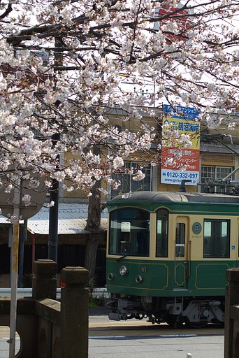 そろそろ祭りの季節