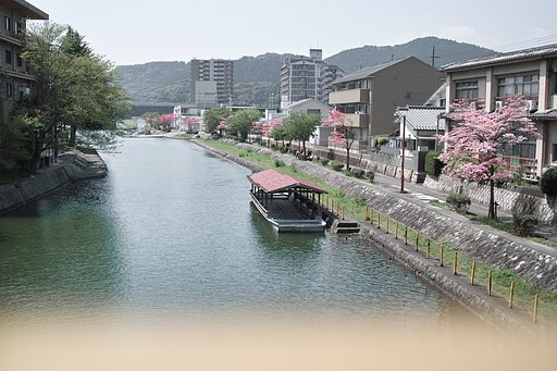 瀬田唐橋の辛子色欄干から 