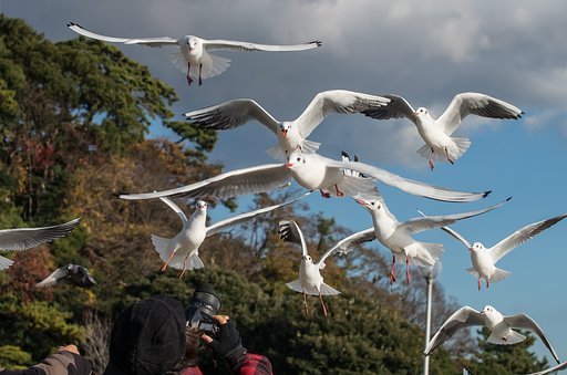 12月17日の写真