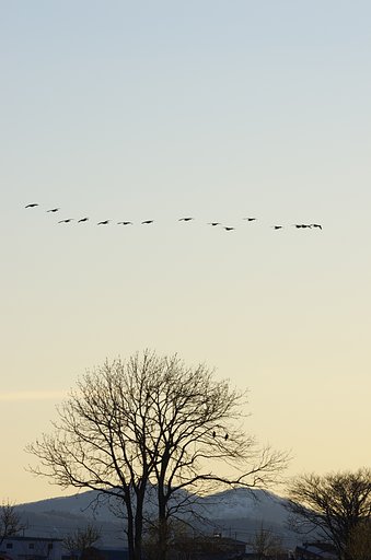 4月27日の写真