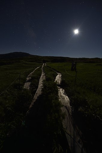 2月14日の写真