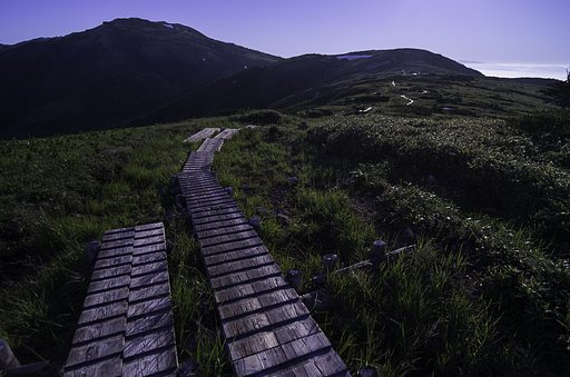 ブルーな朝