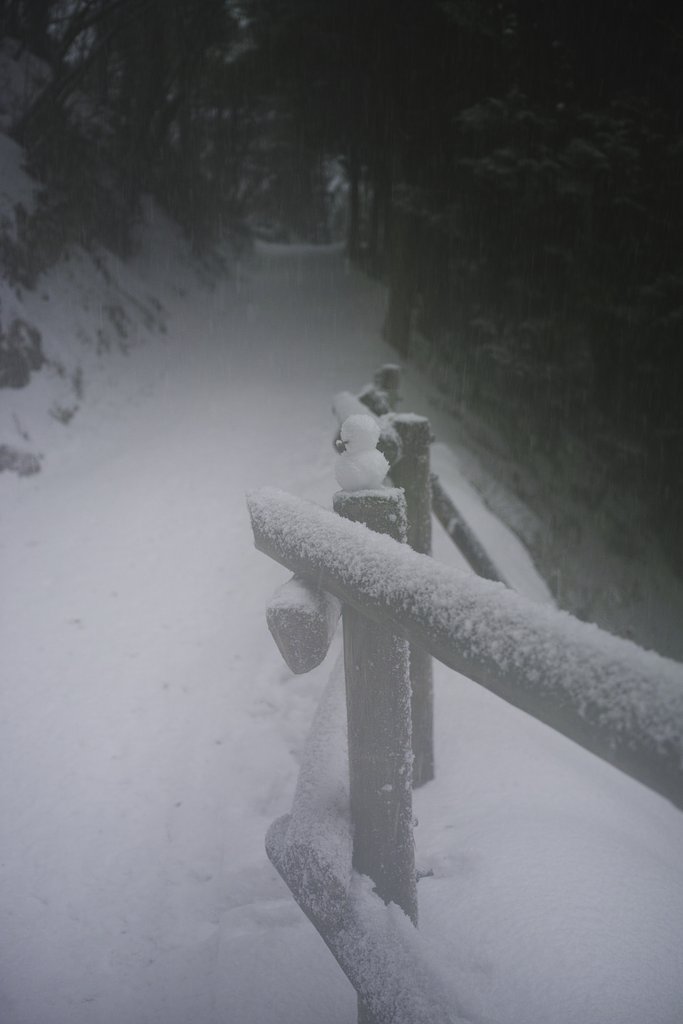 石鎚　雪