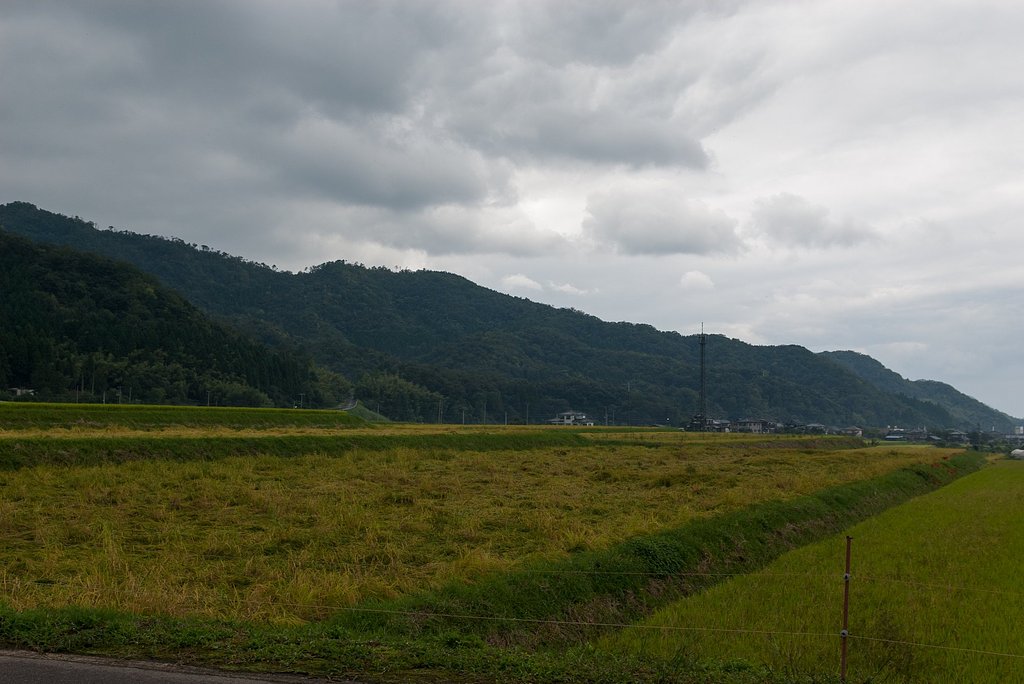 雨のち曇り!