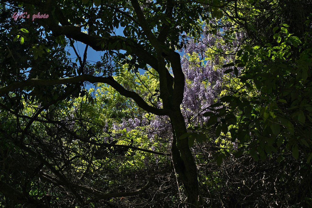 Otus 85mm F1.4 ZF2