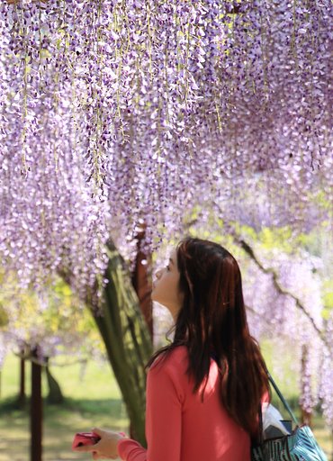 今年の「世界で最も美しい顔」発表される