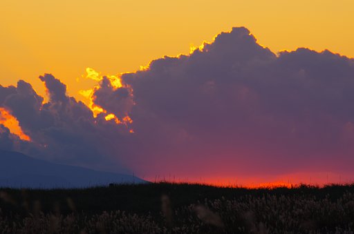 夕陽