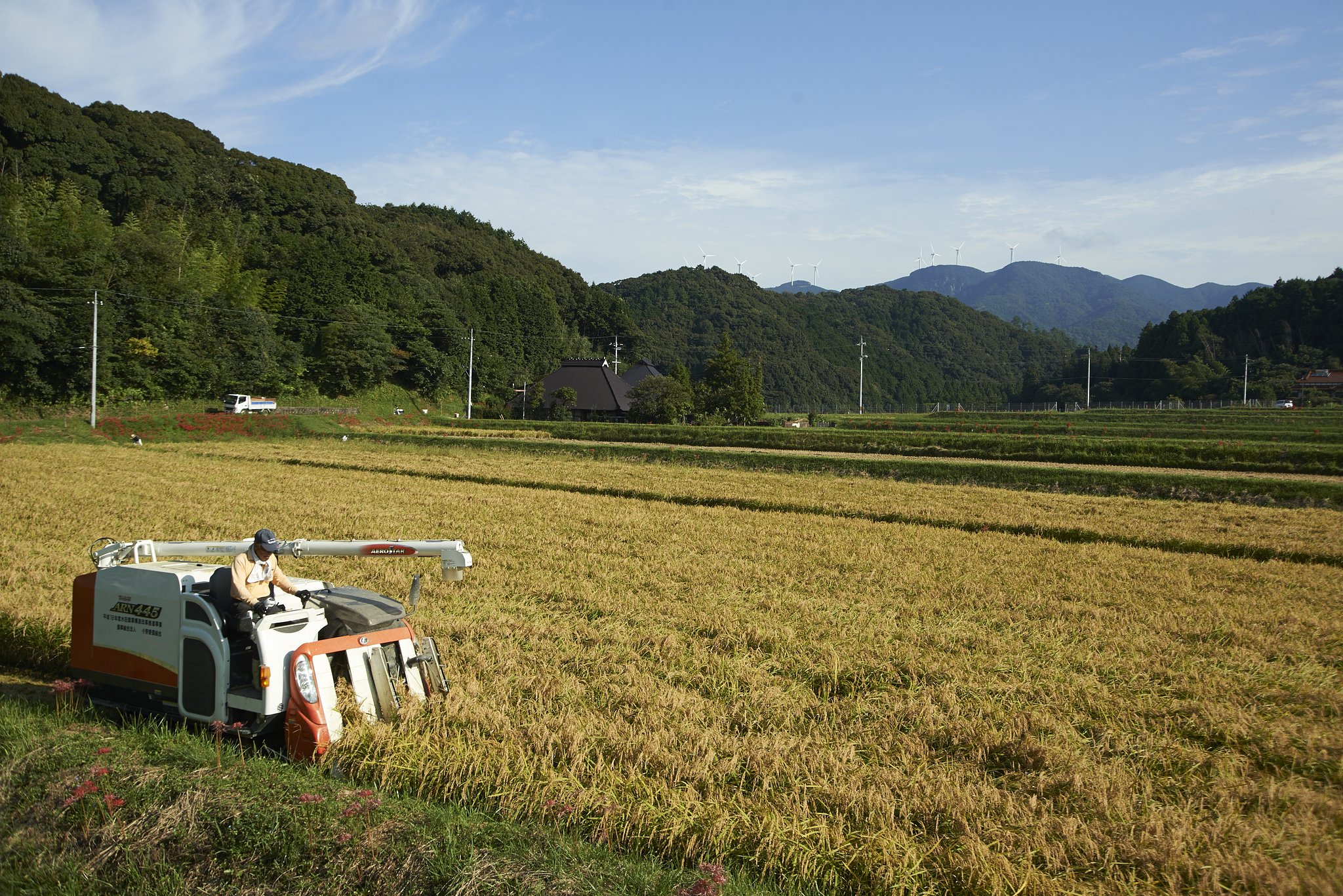 山口