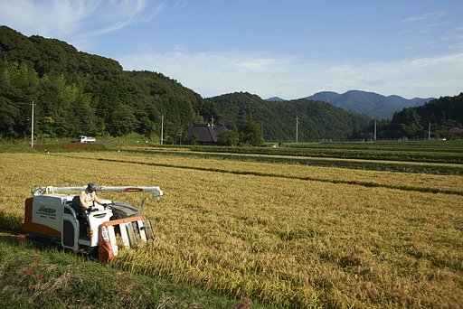 山口