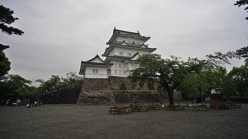 小田原城、公開再開