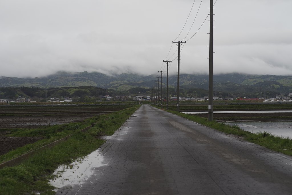 雨の道