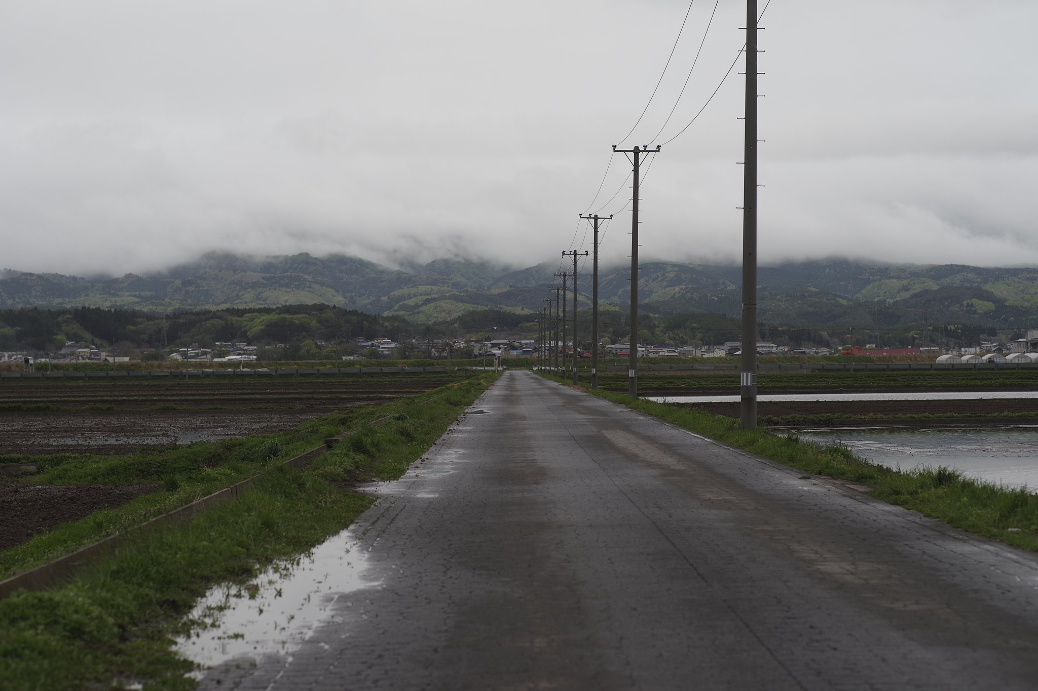 雨の道