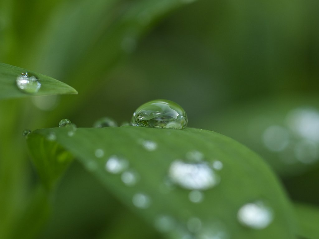 雨上がり