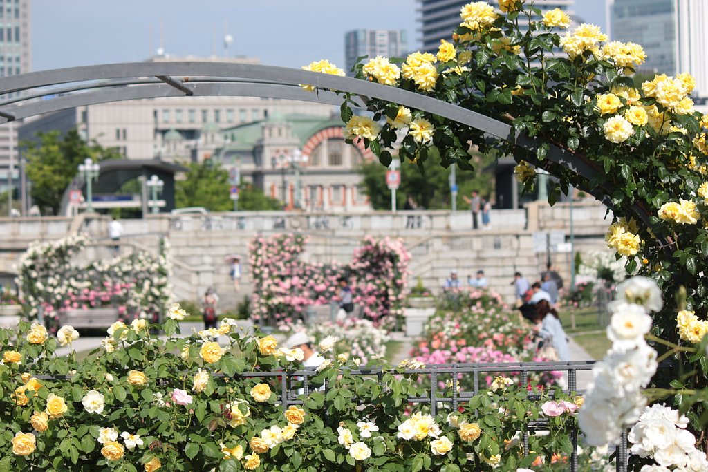 中之島公園バラ園