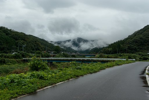 雨降り!