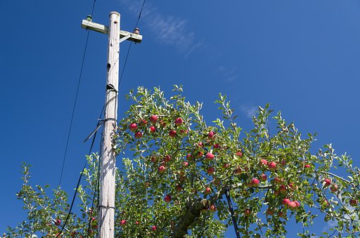 PENTAX-DA 18-135mmF3.5-5.6ED 