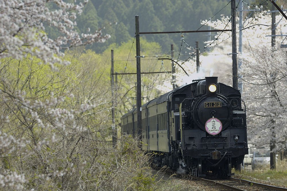 ＳＬさくら号