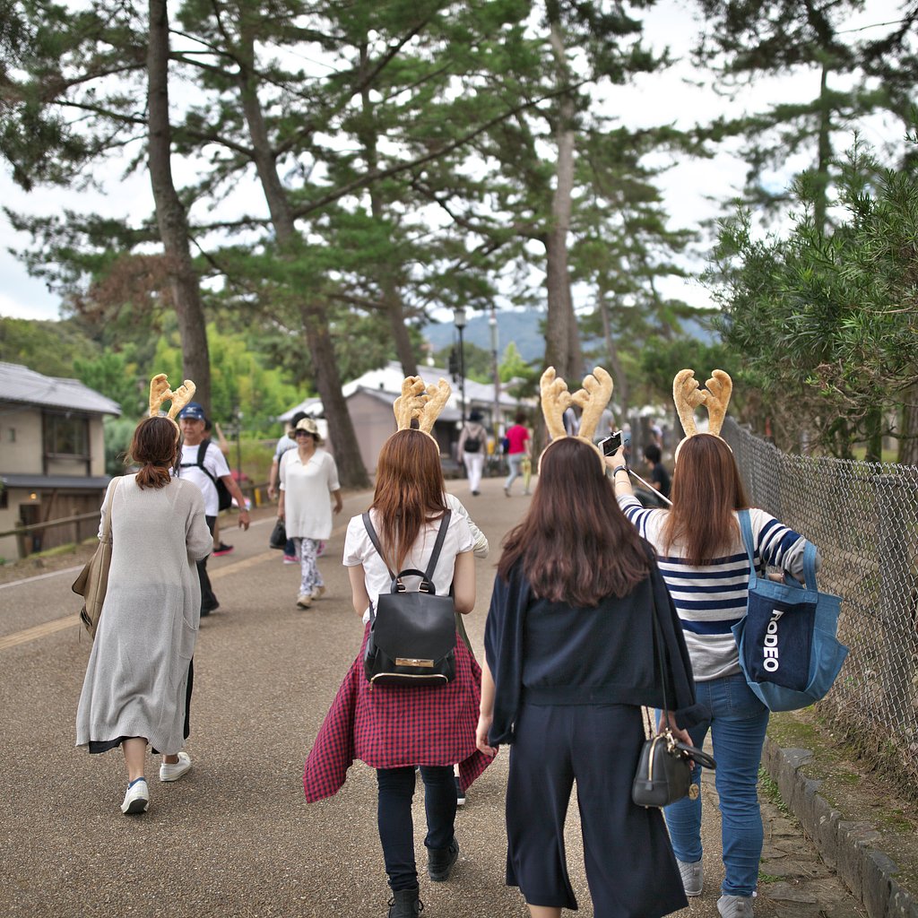 かぶりもの一行