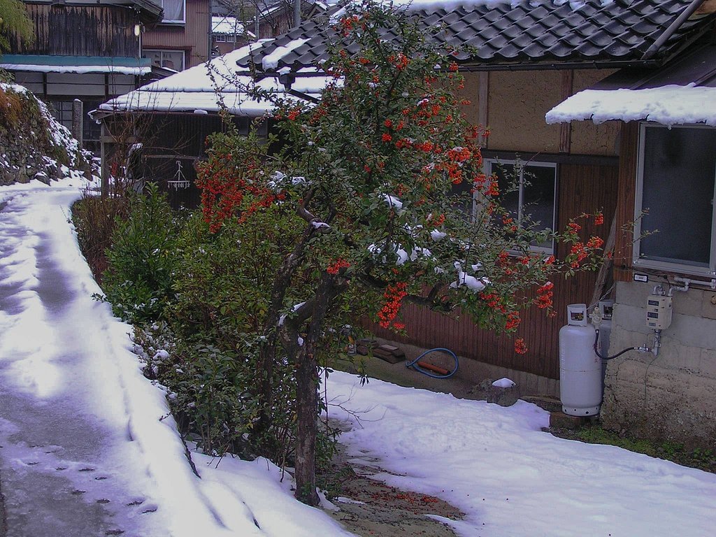 昔々の？