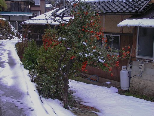 昔々の？