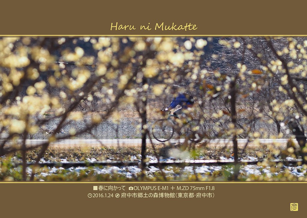 春に向かって