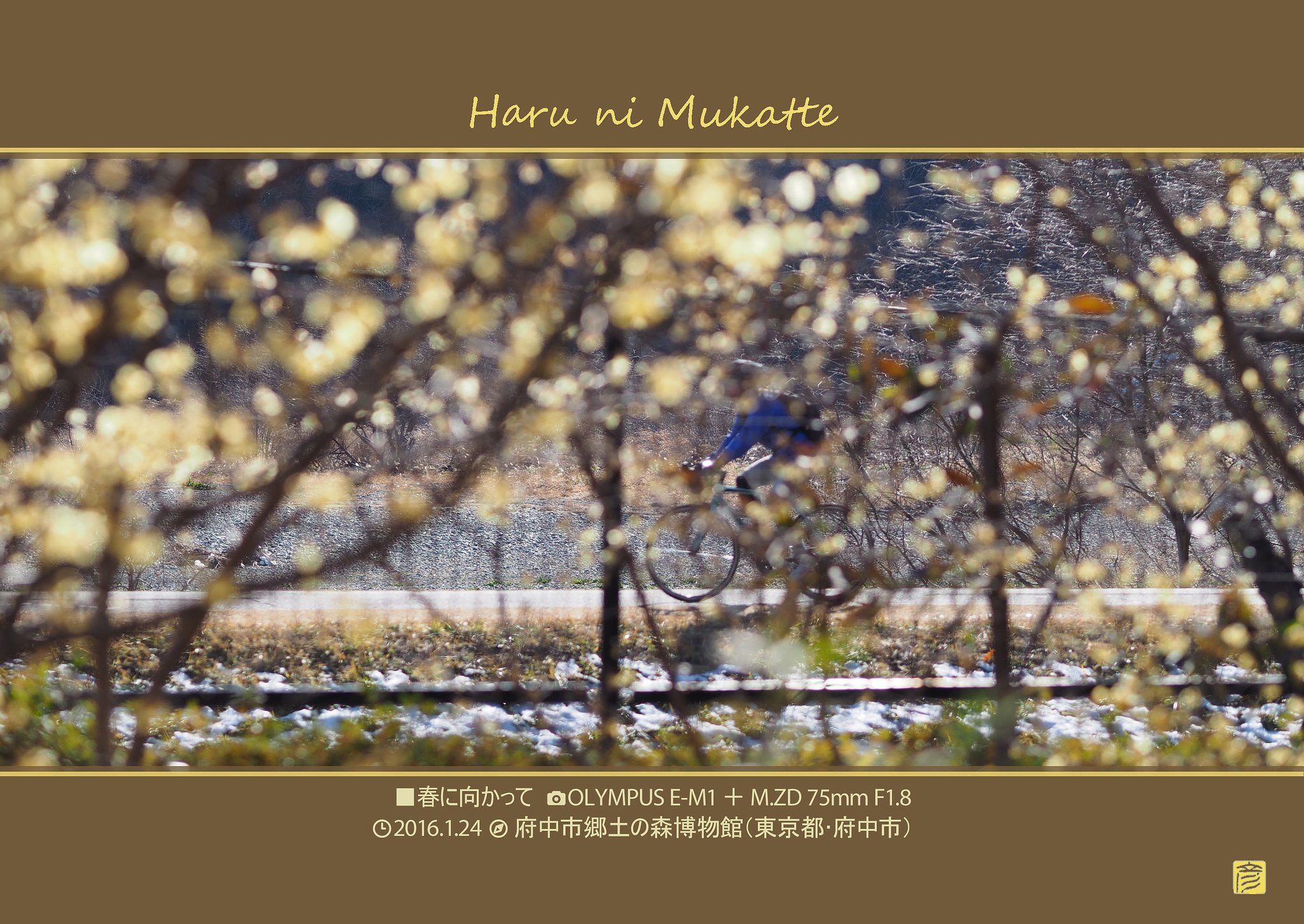 春に向かって