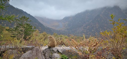 穂高は悪天候