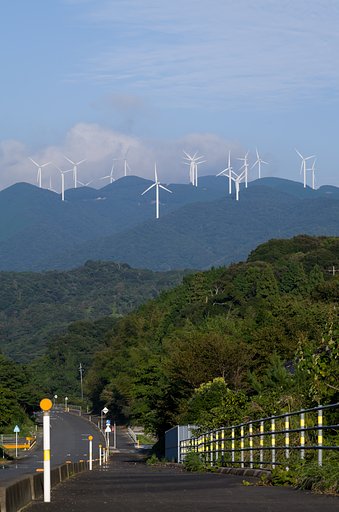 峰の花